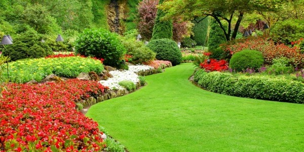 shurbs, borders and lawn landscaping in wirral
