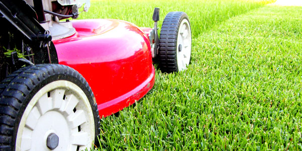 an affordable grounds maintenance service for wirral businesses